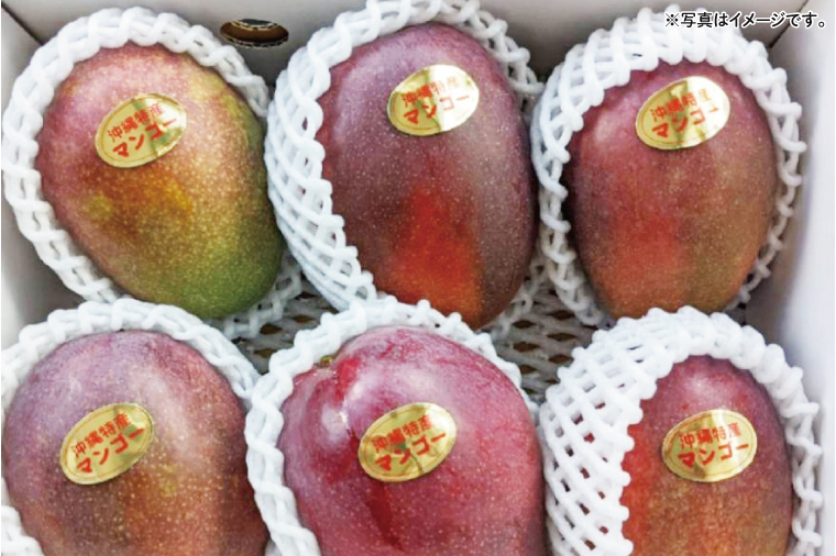 【2026年6月下旬より順次発送】★訳あり★沖縄県豊見城市産アップルマンゴー 約2kg｜マンゴー アップルマンゴー 訳あり わけあり フルーツ くだもの 果物 先行予約 数量限定 おきなわ 沖縄 沖縄フルーツ 豊見城市(DJ002)