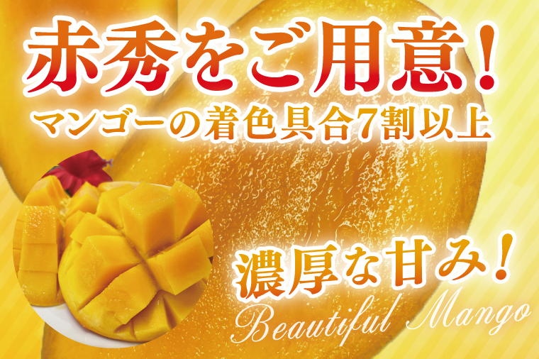 【2026年6月より順次発送】【先行予約】赤秀アーウィンマンゴー 3～4玉(約1.5kg)(化粧箱)｜沖縄県 豊見城市 マンゴー アーウィンマンゴー フルーツ 果物 くだもの おきなわマンゴー ギフト 贈り物 化粧箱入り 先行予約(AE003)