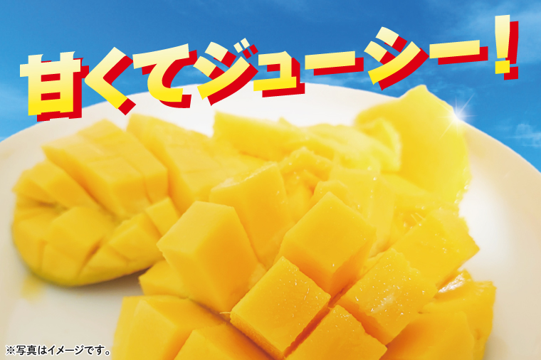 【2026年6月下旬より順次発送】★訳あり★沖縄県豊見城市産アップルマンゴー 約2kg｜マンゴー アップルマンゴー 訳あり わけあり フルーツ くだもの 果物 先行予約 数量限定 おきなわ 沖縄 沖縄フルーツ 豊見城市(DJ002)