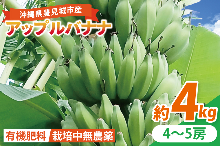 アップルバナナ 約4kg｜バナナ ばなな アップルバナナ フルーツ くだもの 果物 沖縄フルーツ 有機肥料 沖縄 沖縄県 豊見城市(DL003)