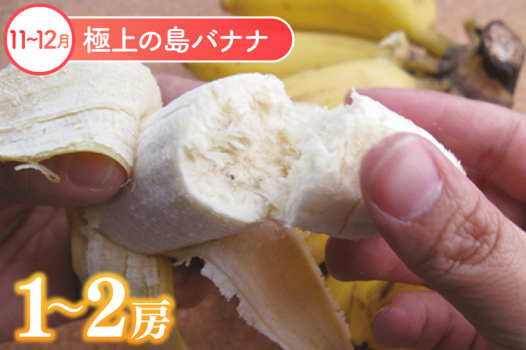 【6回定期便】豊見城 極上フルーツ定期便(全6回)｜フルーツ くだもの 果物 沖縄フルーツ マンゴー バナナ パッションフルーツ アテモヤ アップルマンゴー ドラゴンフルーツ キーツマンゴー 定期便 フルーツ定期便 沖縄県 豊見城市 人気 送料無料(AC023)