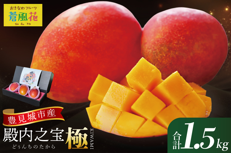 【2026年7月より順次発送】豊見城産マンゴー『殿内之宝(どぅんちのたから)・極』約1.5kg｜マンゴー フルーツ 果物 くだもの 先行予約 完熟マンゴー 沖縄フルーツ おきなわ 沖縄 沖縄県 豊見城市(DR002)