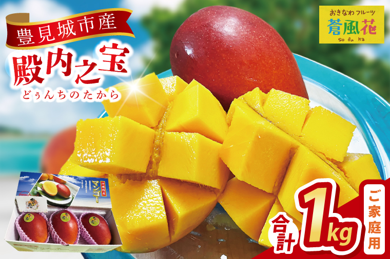【2026年7月より順次発送】豊見城産マンゴー『殿内之宝(どぅんちのたから)』約1kg(ご家庭用)｜マンゴー フルーツ 果物 くだもの 先行予約 完熟マンゴー 沖縄フルーツ 家庭用 おきなわ 沖縄 沖縄県 豊見城市(DR004)