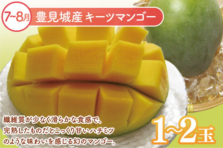 【6回定期便】人気！沖縄フルーツ定期便(年6回)｜フルーツ 果物 くだもの マンゴー キーツマンゴー アップルマンゴー パッションフルーツ スターフルーツ ドラゴンフルーツ バナナ 完熟 沖縄フルーツ 沖縄 沖縄県 豊見城市 人気 名護パイン園 定期便 送料無料(AC020)