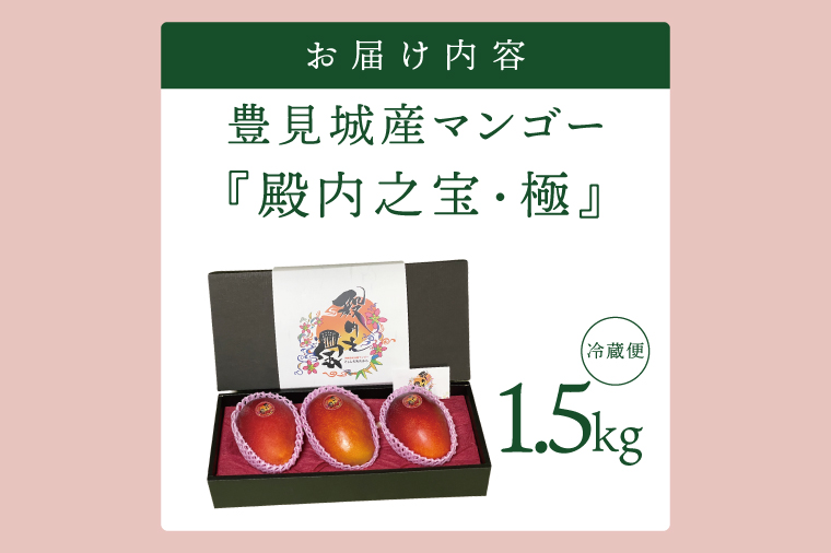 【2026年7月より順次発送】豊見城産マンゴー『殿内之宝(どぅんちのたから)・極』約1.5kg｜マンゴー フルーツ 果物 くだもの 先行予約 完熟マンゴー 沖縄フルーツ おきなわ 沖縄 沖縄県 豊見城市(DR002)