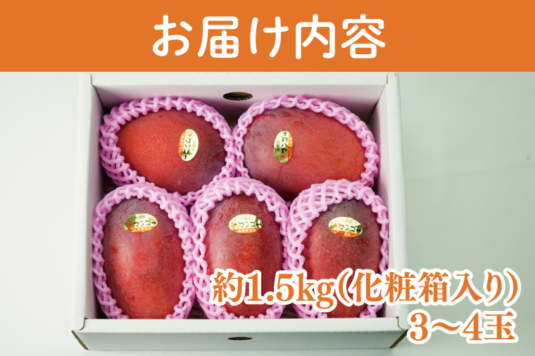 【2026年6月より順次発送】【先行予約】赤秀アーウィンマンゴー 3～4玉(約1.5kg)(化粧箱)｜沖縄県 豊見城市 マンゴー アーウィンマンゴー フルーツ 果物 くだもの おきなわマンゴー ギフト 贈り物 化粧箱入り 先行予約(AE003)