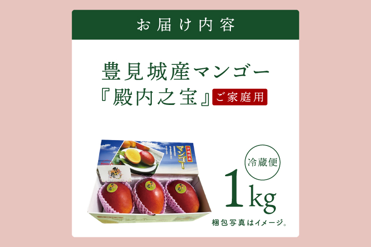【2026年7月より順次発送】豊見城産マンゴー『殿内之宝(どぅんちのたから)』約1kg(ご家庭用)｜マンゴー フルーツ 果物 くだもの 先行予約 完熟マンゴー 沖縄フルーツ 家庭用 おきなわ 沖縄 沖縄県 豊見城市(DR004)