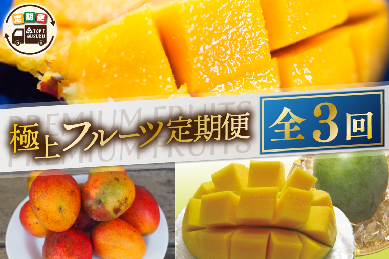 【2026年6月より順次発送】【3ヶ月定期便】豊見城 極上フルーツ定期便(6・7・8月コース)｜フルーツ くだもの 果物 マンゴー アップルマンゴー キーツマンゴー 名護パイン園 定期便 フルーツ定期便 先行予約 沖縄県 豊見城市(AC022)