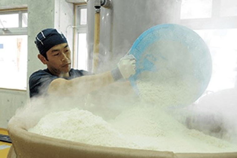 忠孝30度一升パック 6本セット｜酒 お酒 泡盛 あわもり 6本 パック 酒類 アルコール ユネスコ 無形文化遺産 ユネスコ無形文化遺産登録決定 伝統的酒造り 酒造 沖縄県 沖縄 豊見城市(BY011-1)