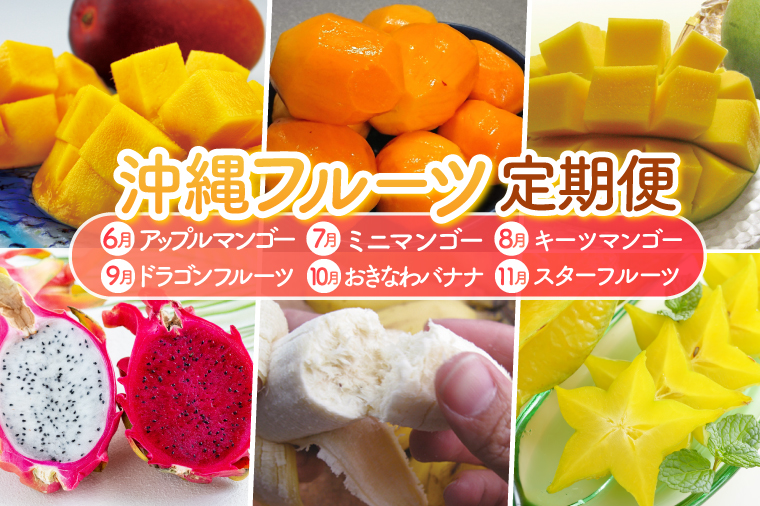 【2026年6月より順次発送】【6ヶ月定期便】沖縄フルーツ定期便(6～11月コース)｜フルーツ くだもの 果物 スターフルーツ マンゴー アップルマンゴー ミニマンゴー キーツマンゴー ドラゴンフルーツ バナナ 名護パイン園 定期便 フルーツ定期便 沖縄フルーツ おきなわ 沖縄県 豊見城市(AC019)