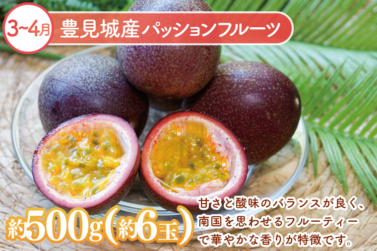 【6回定期便】人気！沖縄フルーツ定期便(年6回)｜フルーツ 果物 くだもの マンゴー キーツマンゴー アップルマンゴー パッションフルーツ スターフルーツ ドラゴンフルーツ バナナ 完熟 沖縄フルーツ 沖縄 沖縄県 豊見城市 人気 名護パイン園 定期便 送料無料(AC020)