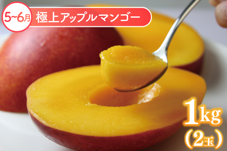 【6回定期便】豊見城 極上フルーツ定期便(全6回)｜フルーツ くだもの 果物 沖縄フルーツ マンゴー バナナ パッションフルーツ アテモヤ アップルマンゴー ドラゴンフルーツ キーツマンゴー 定期便 フルーツ定期便 沖縄県 豊見城市 人気 送料無料(AC023)