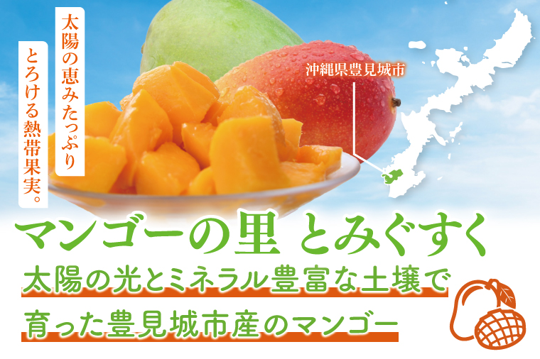 【2026年6月より順次発送】【先行予約】赤秀アーウィンマンゴー 3～5玉(約2kg)(化粧箱)｜沖縄県 豊見城市 マンゴー アーウィンマンゴー フルーツ 果物 くだもの おきなわマンゴー ギフト 贈り物 化粧箱入り 先行予約(AE004)