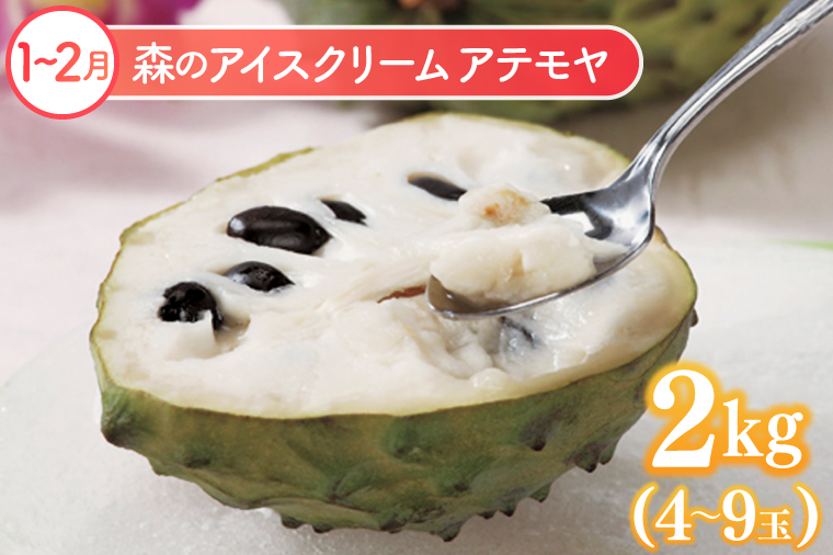 【6回定期便】豊見城 極上フルーツ定期便(全6回)｜フルーツ くだもの 果物 沖縄フルーツ マンゴー バナナ パッションフルーツ アテモヤ アップルマンゴー ドラゴンフルーツ キーツマンゴー 定期便 フルーツ定期便 沖縄県 豊見城市 人気 送料無料(AC023)