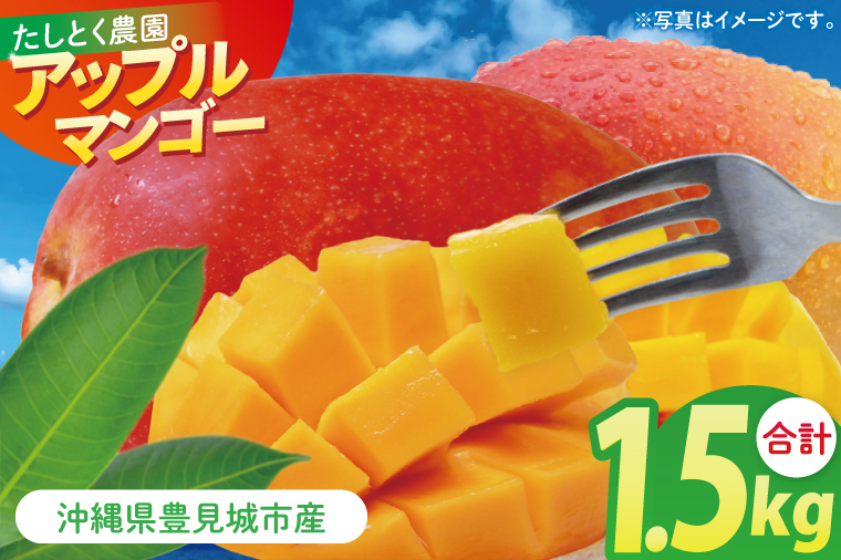 【2026年6月下旬より順次発送】沖縄県豊見城市産アップルマンゴー 約1.5kg｜マンゴー アップルマンゴー フルーツ くだもの 果物 先行予約 数量限定 おきなわ 沖縄 沖縄フルーツ 豊見城市(DJ005)