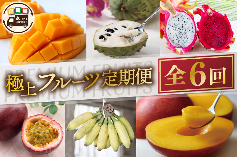 【6回定期便】豊見城 極上フルーツ定期便(全6回)｜フルーツ くだもの 果物 沖縄フルーツ マンゴー バナナ パッションフルーツ アテモヤ アップルマンゴー ドラゴンフルーツ キーツマンゴー 定期便 フルーツ定期便 沖縄県 豊見城市 人気 送料無料(AC023)