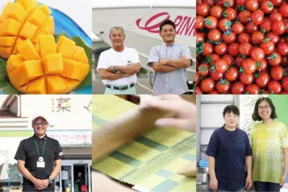 掻æ°ããè±ããªãŸã¡ã¥ãã