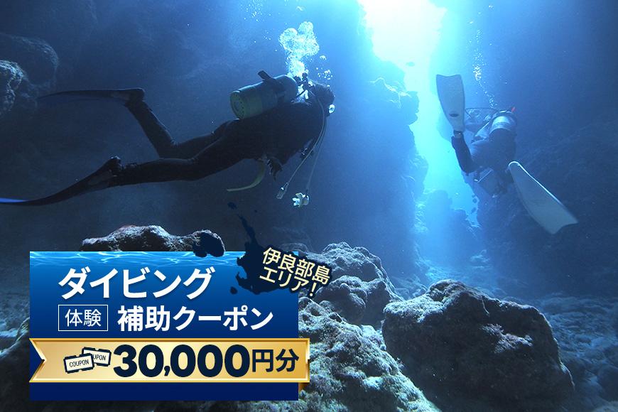 『ダイビング体験補助クーポン（30,000円分）』沖縄県・宮古島(HWM04)