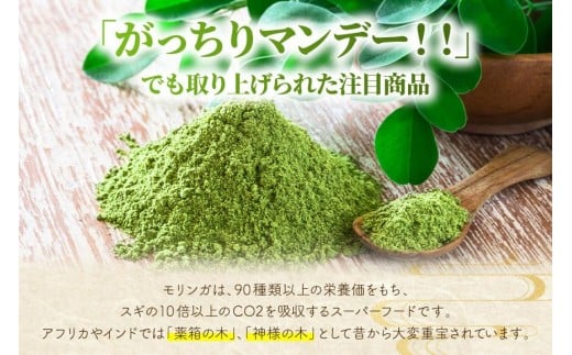 行列ができる宮古島のそば屋より直送　モリンガ宮古そば(10人前セット)（MP03）