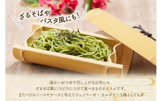 行列ができる宮古島のそば屋より直送　モリンガ宮古そば(10人前セット)（MP03）