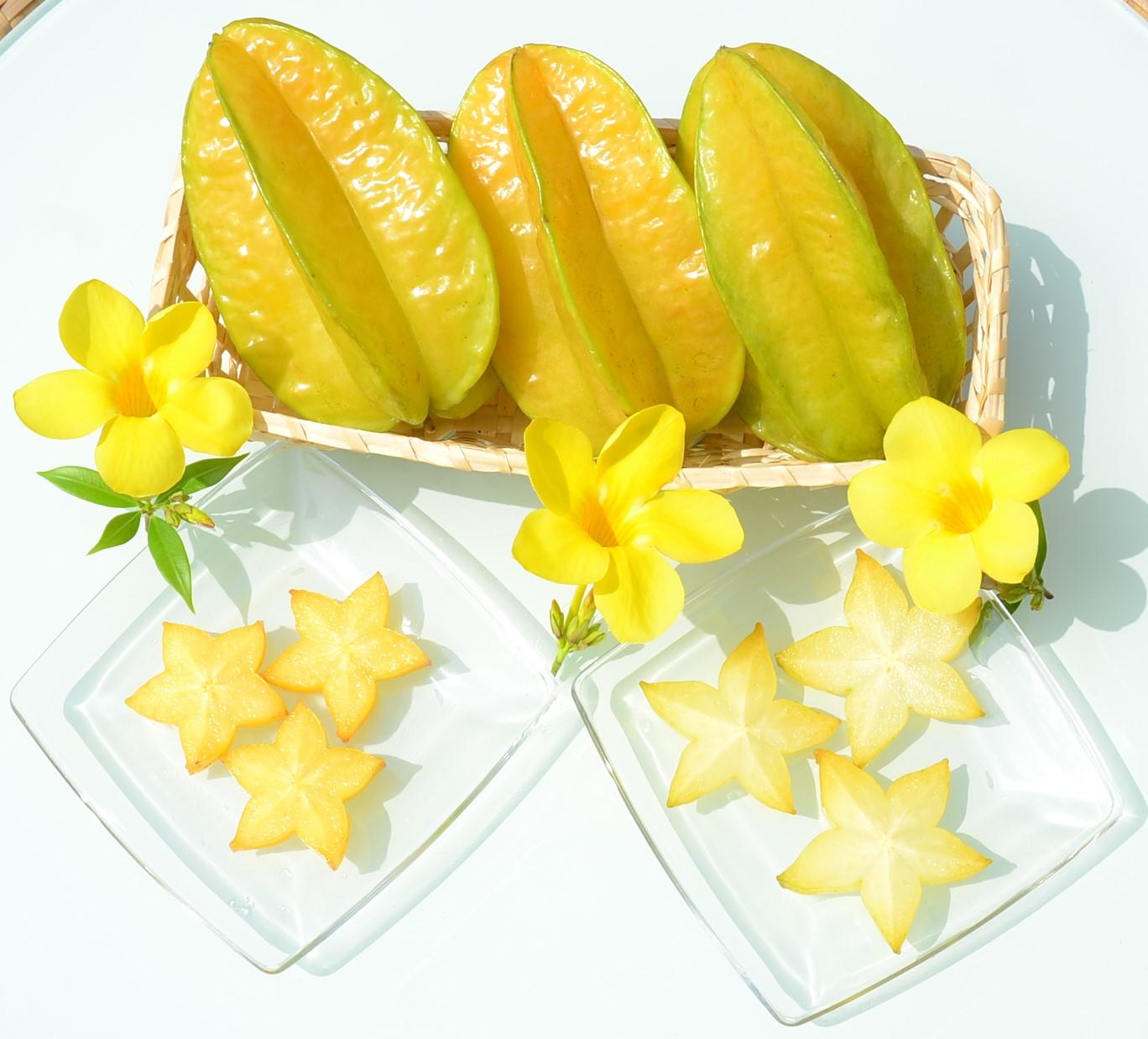 【2026年2月発送　※北海道は3月上旬発送】宮古島産　南国フルーツセット（アテモヤ2個、スターフルーツ1個）CV08