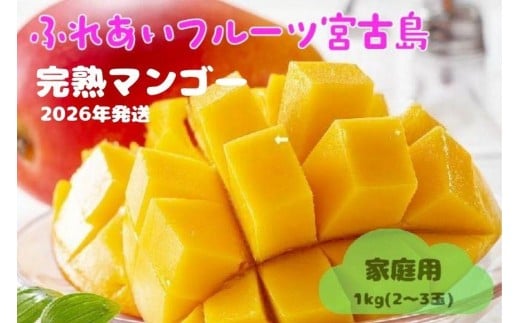 ＜2026年夏発送＞【家庭用】激うま！宮古島産アップルマンゴー1kg(2～3玉)ふれあいフルーツ宮古島【家庭用】激うま！宮古島産アップルマンゴー1kg(2～3玉)ふれあいフルーツ宮古島(FA01)