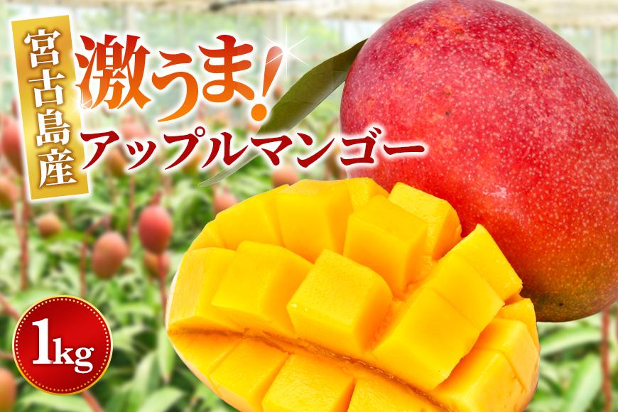 ïŒ2026幎å€çºéïŒãå®¶åºçšãæ¿ããŸïŒå®®å€å³¶ç£ã¢ããã«ãã³ãŽãŒ1kg(2ïœ3ç)ãµããããã«ãŒãå®®å€å³¶(FA01)