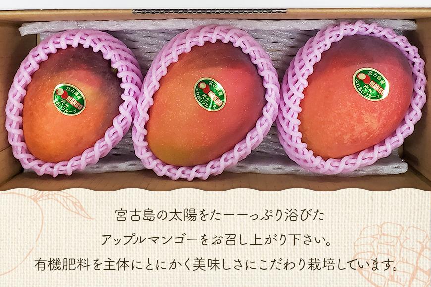 ïŒ2026幎å€çºéïŒãå®¶åºçšãæ¿ããŸïŒå®®å€å³¶ç£ã¢ããã«ãã³ãŽãŒ1kg(2ïœ3ç)ãµããããã«ãŒãå®®å€å³¶(FA01)