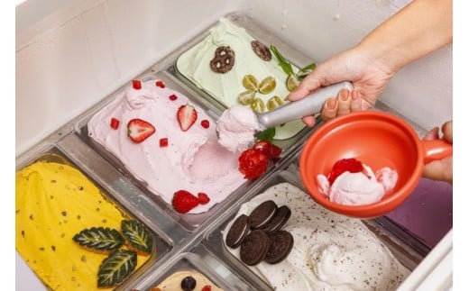 ホットクロスポイントサンタモニカ　宿泊券（朝食付）（XH01）