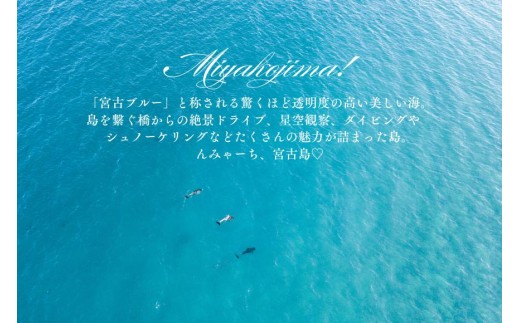 宮古島市に泊まるふるさと納税旅行クーポン【6,000円分】（NK02）