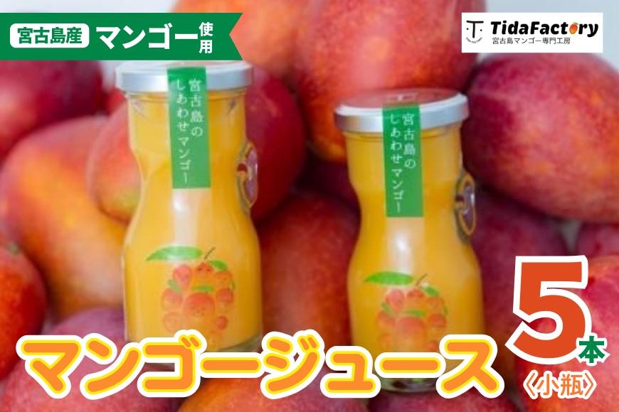 ＜当社人気商品＞宮古島のしあわせマンゴー　小瓶５本セット【90ｇ×5本】（T113）