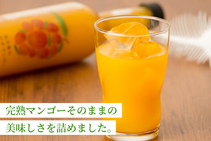 宮古島のしあわせマンゴー　大瓶２本セット【500ｇ×2本】(T114)