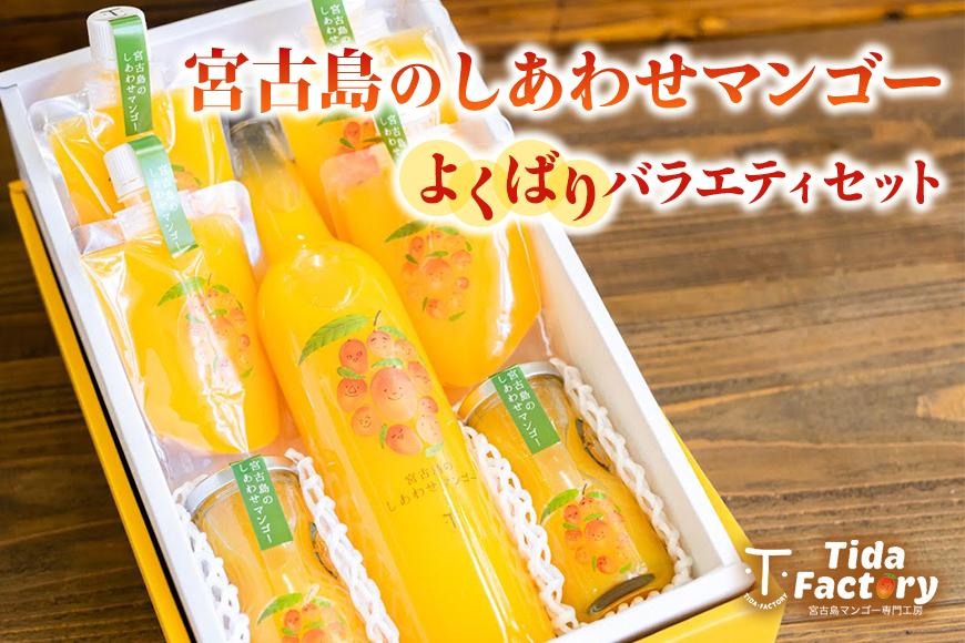 宮古島のしあわせマンゴー　よくばりバラエティセット(T115)