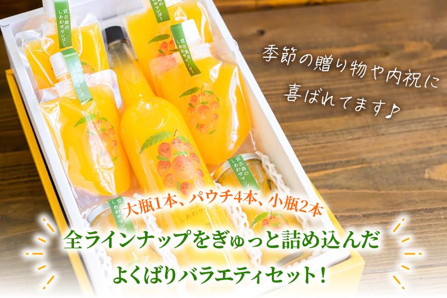宮古島のしあわせマンゴー　よくばりバラエティセット(T115)