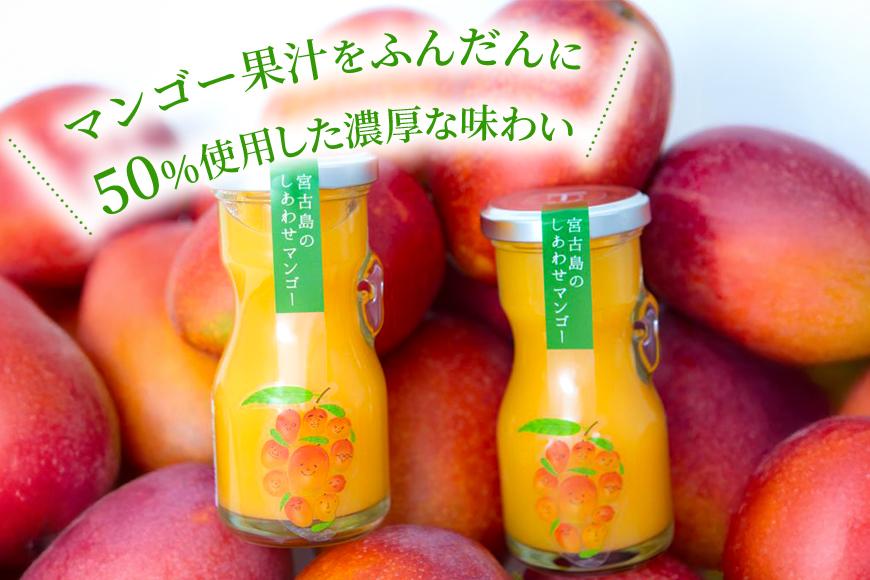 宮古島のしあわせマンゴー　よくばりバラエティセット(T115)