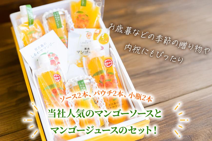 宮古島のしあわせマンゴー　SoSweetセット(T116)