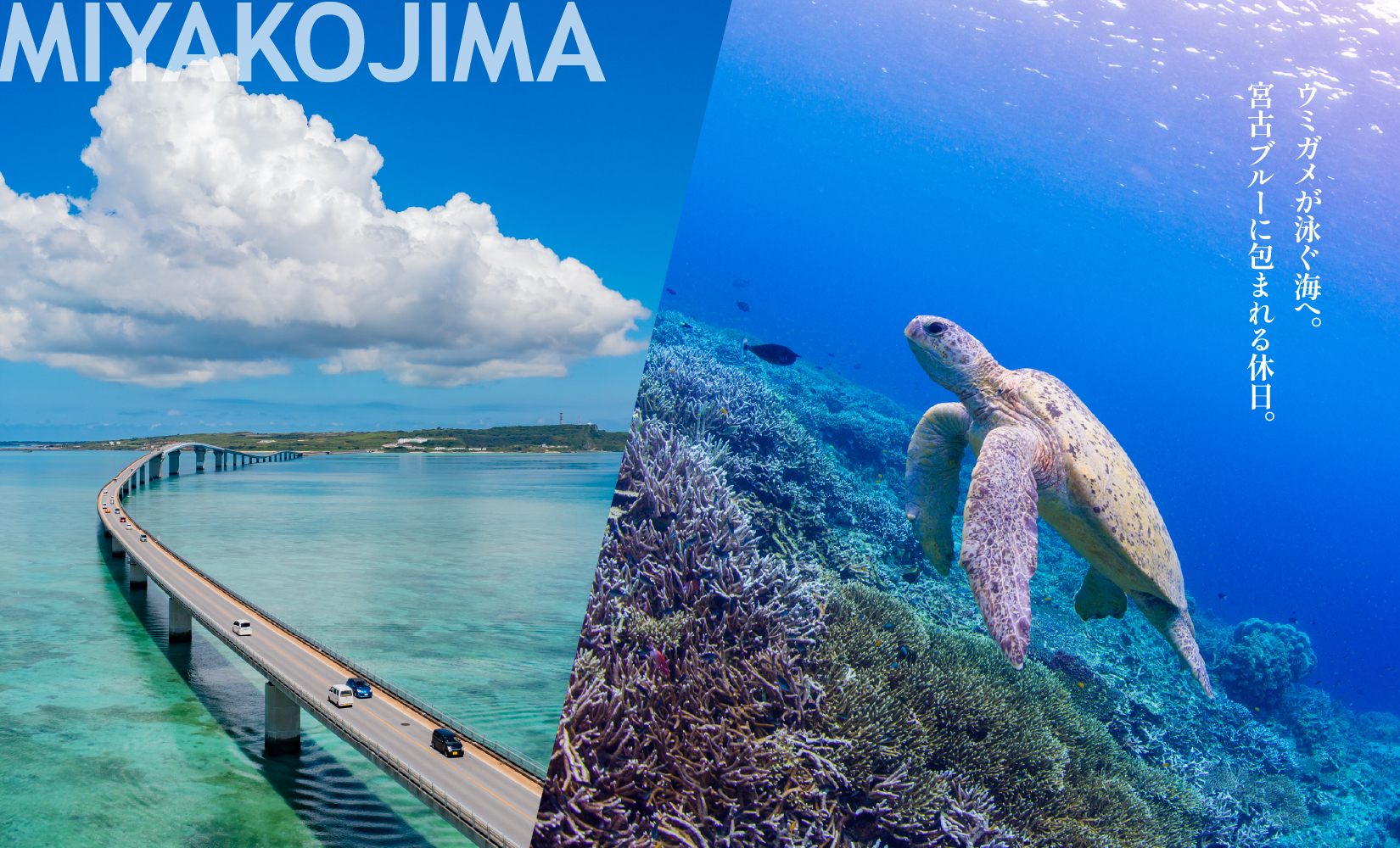 【沖縄ツアー】宮古島 後から選べる旅行Webカタログで使える！ 旅行クーポン（60,000円分） 旅行券 宿泊券 飲食券 体験サービス券（TA02）