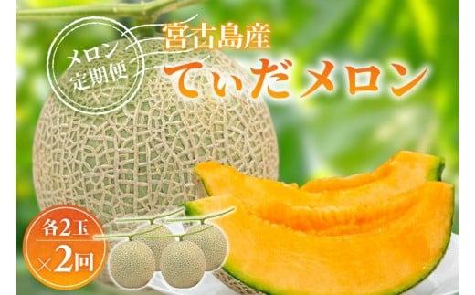 【メロン定期便】＜先行受付＞宮古島産てぃだメロン 2玉《2026年冬・2027年春発送》＜8farm＞（JC007）