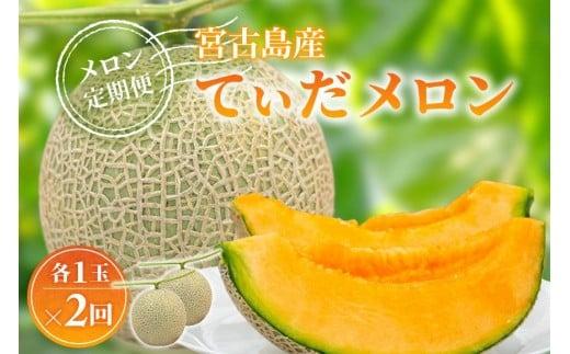 【メロン定期便】＜先行受付＞宮古島産てぃだメロン 1玉《2026年冬・2027年春発送》＜8farm＞（JC008）