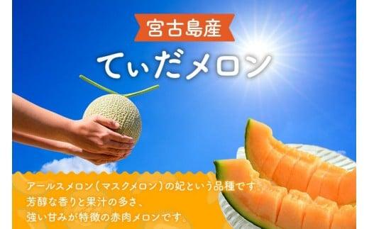 【メロン定期便】＜先行受付＞宮古島産てぃだメロン 1玉《2026年冬・2027年春発送》＜8farm＞（JC008）