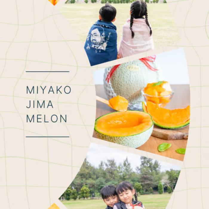 【とみお農園｜農家直送】宮古島産 赤肉メロン 1玉（2kg以上・糖度14度以上）2026年春発送（TN03）