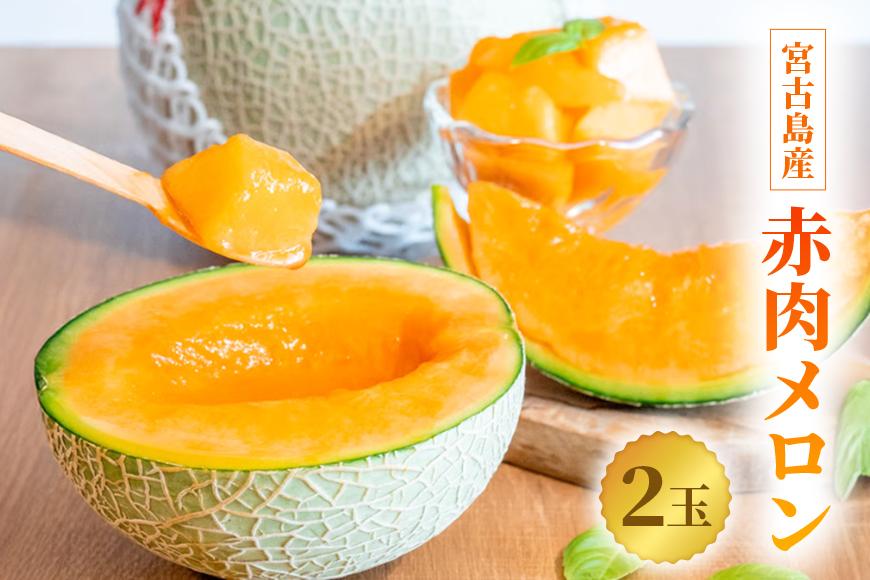 【とみお農園｜農家直送】宮古島産 赤肉メロン 2玉（1玉2kg前後・糖度14度以上）2026年春発送（TN04）｜沖縄 宮古島  おすすめ  母の日 ギフト
