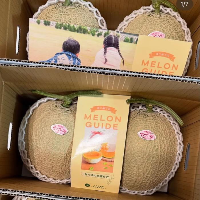 【とみお農園｜農家直送】宮古島産 赤肉メロン 2玉（1玉2kg以上・糖度14度以上）2026年春発送（TN04）