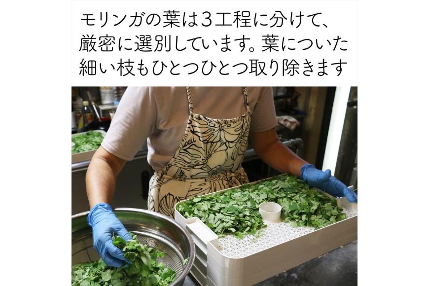 æ²çžå®®å€å³¶ç£ ç¡èŸ²è¬ã¢ãªã³ã¬è¶ïŒã¢ãªã³ã¬ãã£ãŒïŒ