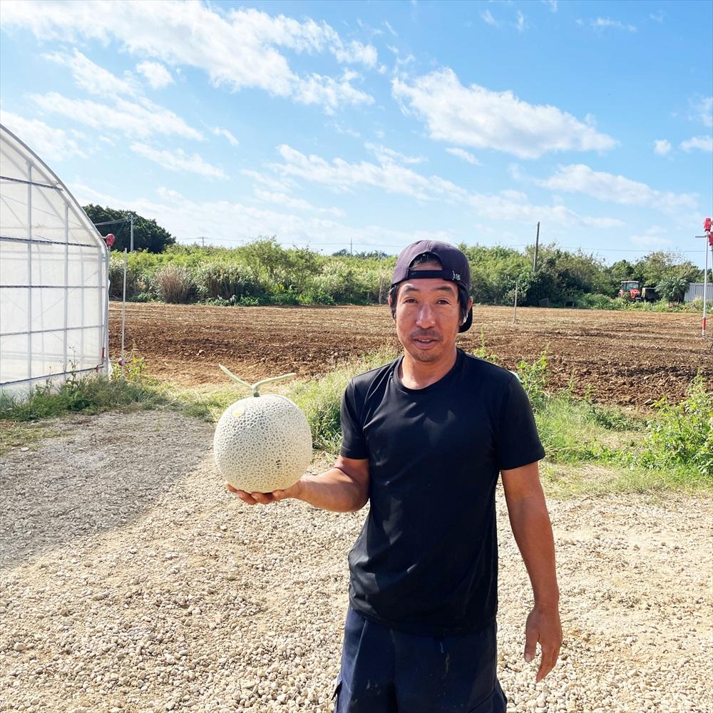 【限定品】沖縄宮古島産　ゴリラメロン　1玉（3kg超え） ＜琉球マルシェ＞