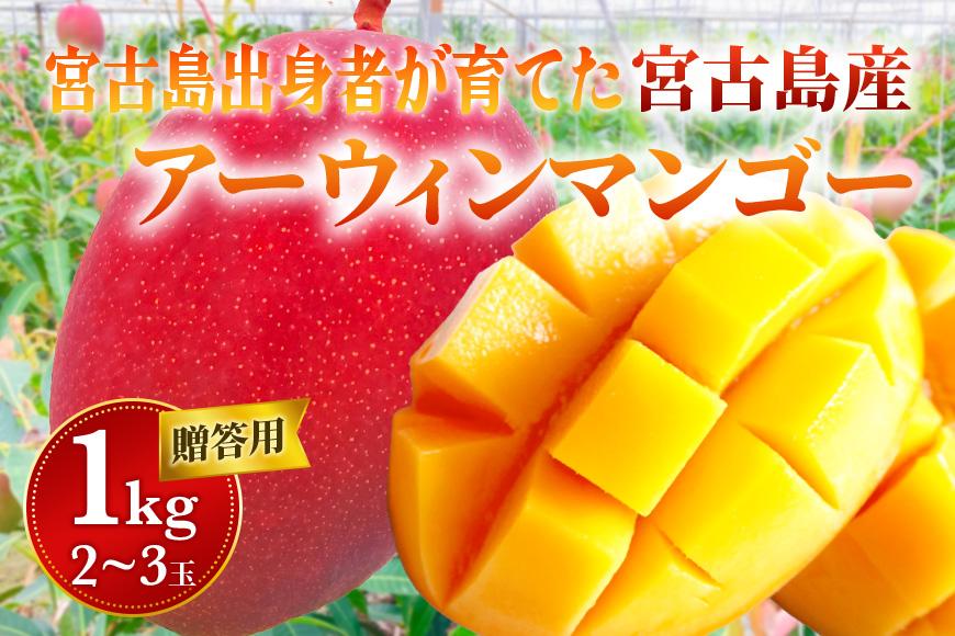 【贈答用】宮古島産マンゴー1kg ＜リトルグローブ＞（LT001）