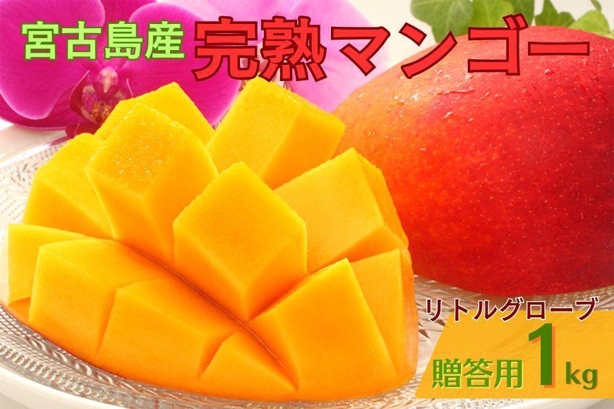 【贈答用】宮古島産マンゴー1kg ＜リトルグローブ＞（LT001）