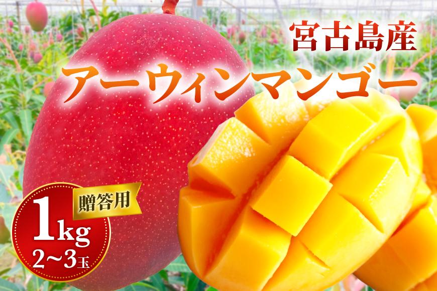 【贈答用】宮古島産マンゴー1kg ＜リトルグローブ＞（LT001）