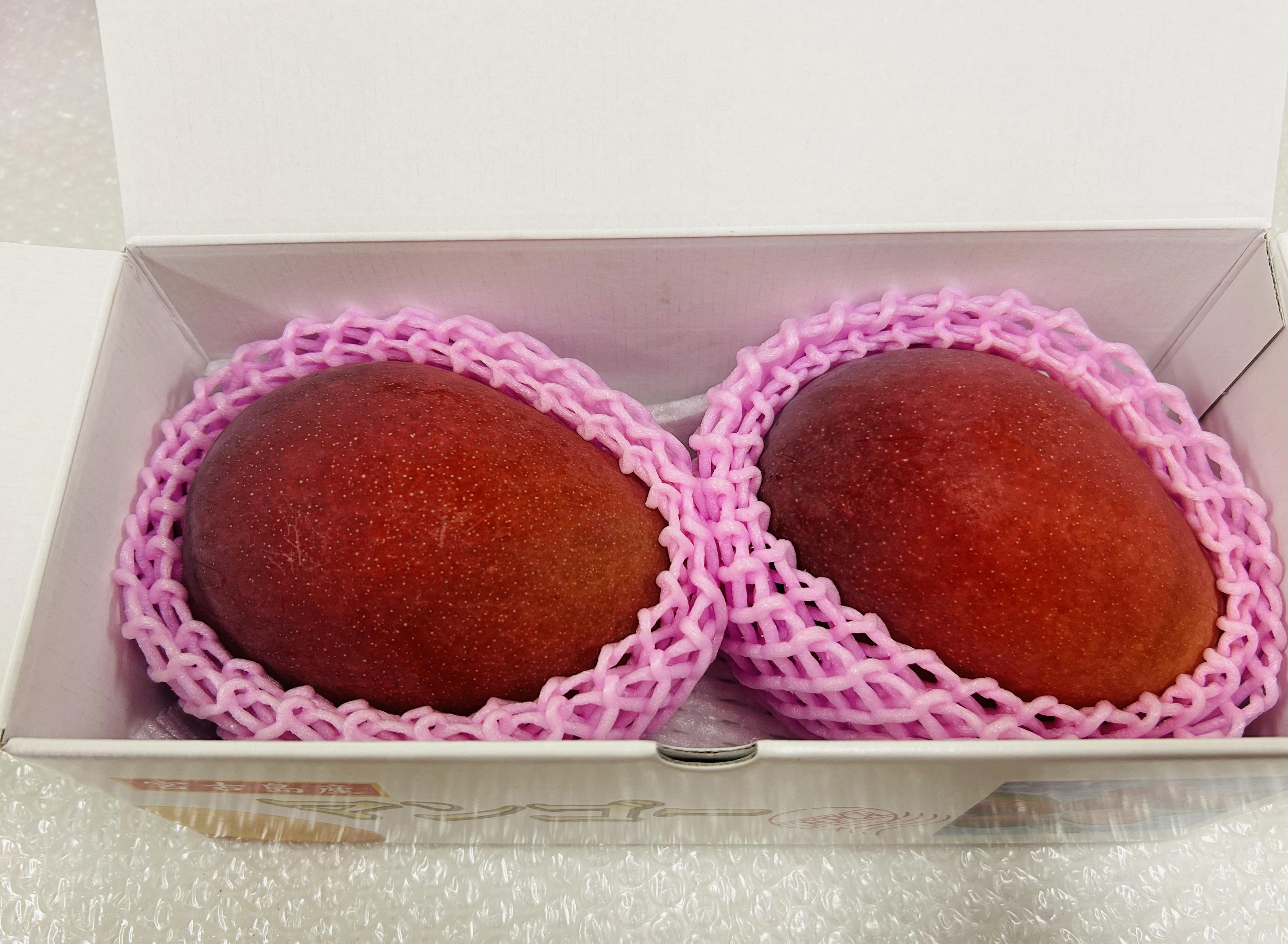 【贈答用】宮古島産マンゴー1kg ＜リトルグローブ＞（LT001）