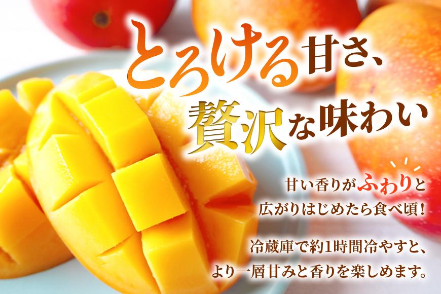 【贈答用】宮古島産マンゴー1kg ＜リトルグローブ＞（LT001）